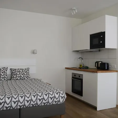 City Center Apartment Клайпеда Екстер'єр фото
